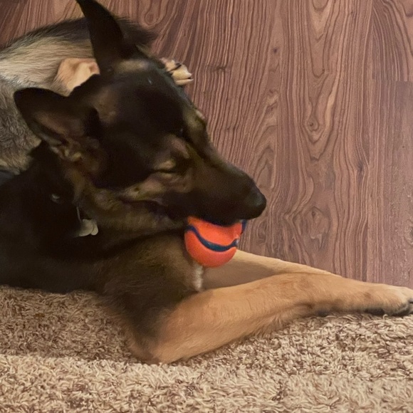 Meet your Posher, E - Picture 1 of 1